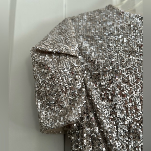 ADRIANNA PAPELL SEQUIN SILVER EVENING SHEATH DRESS SIZE 10P - Picture 5 of 10